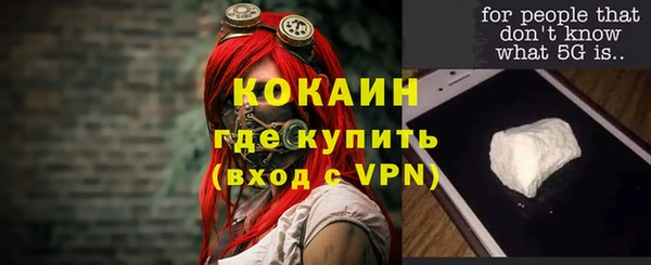сатива Ладушкин