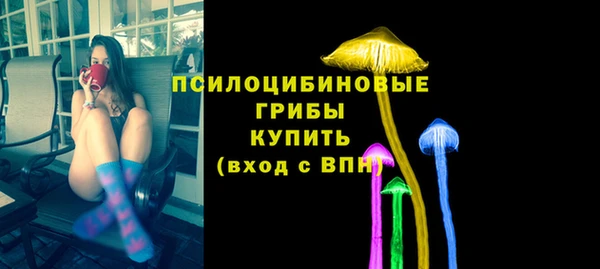 первитин Лабытнанги