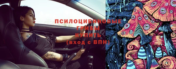 сатива Ладушкин