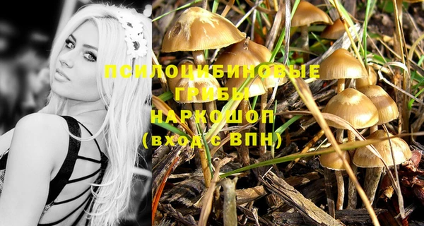 сатива Ладушкин