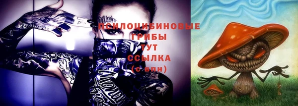 первитин Лабытнанги